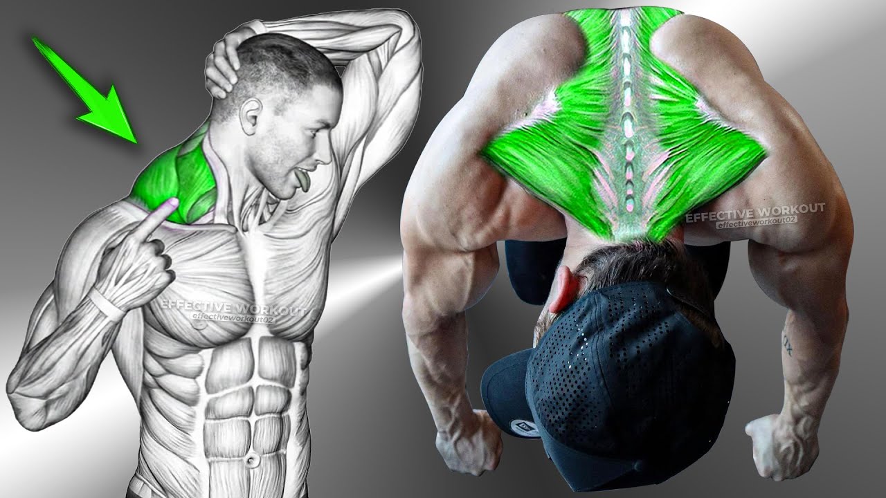 9 ЛУЧШИХ упражнений для тренировки больших трапеций