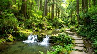 Peaceful Piano & Nature 🌿 Relax Your Mind and Find Inner Harmony