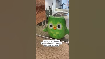 EVERY TIME YOU OPEN GOOGLE TRANSLATE