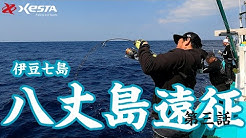 Xestatv Youtube