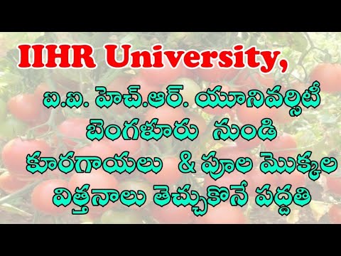 IIHR విత్తనాలు ఆర్డర్ చేసే విధానం | How to order Arka seeds from IIHR Bangalore 2020 | #Agriculture