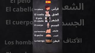أعضاء الجسم بالإسبانية