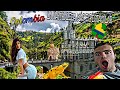 ESPAÑOL REACCIONA a 20 COSAS que NO SABÍAS de COLOMBIA!! NATURALEZA ESPECTACULAR!!