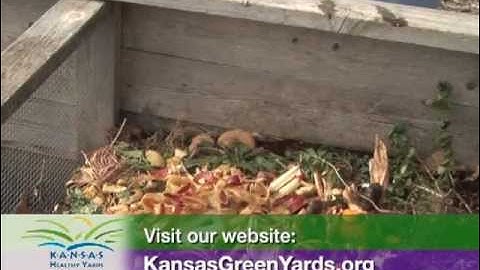 Composting: Choosing a Bin