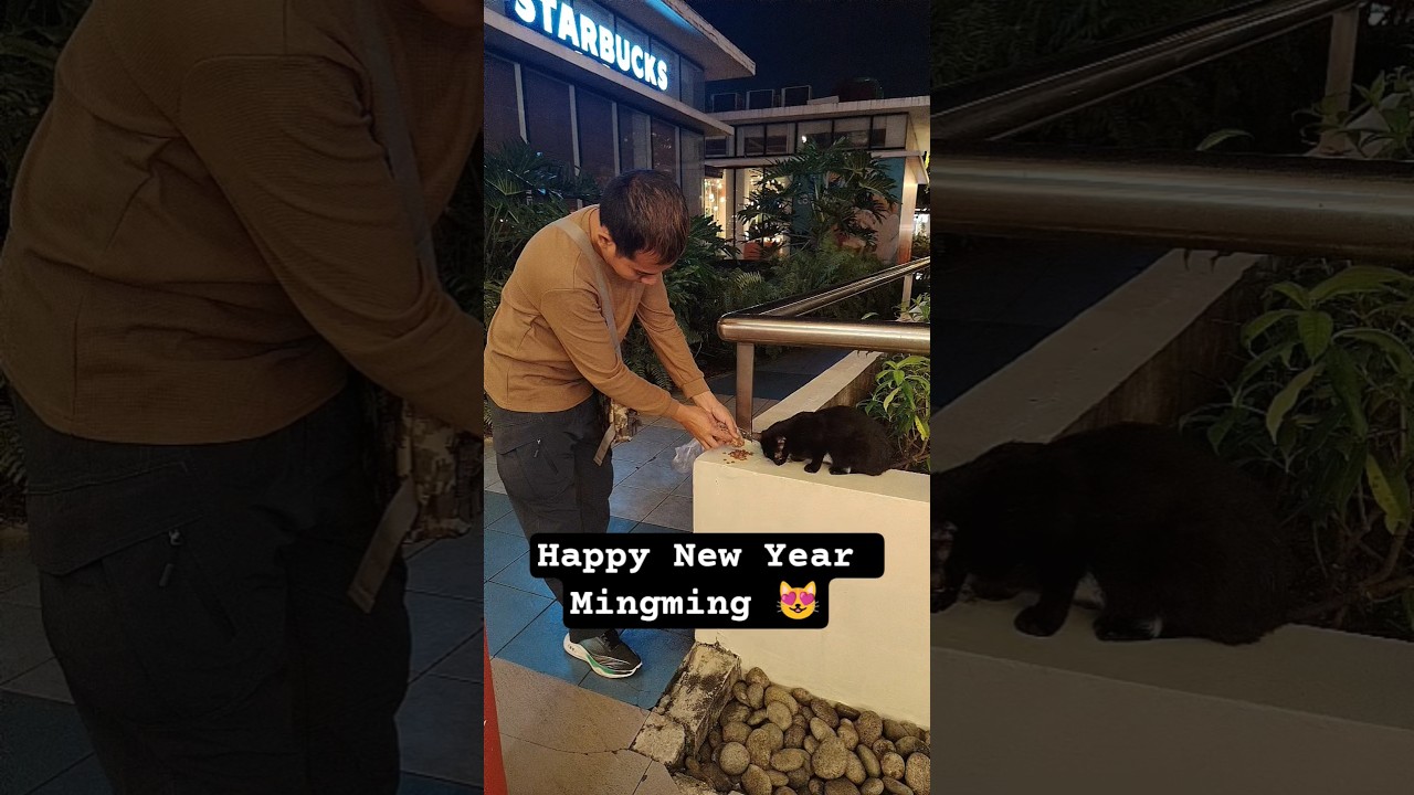 Happy New Year Mingming 😻 
