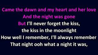 Elvis Presley - Such A Night KARAOKE