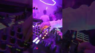 Rave Control ⚡ EDM Festival Energy #shorts