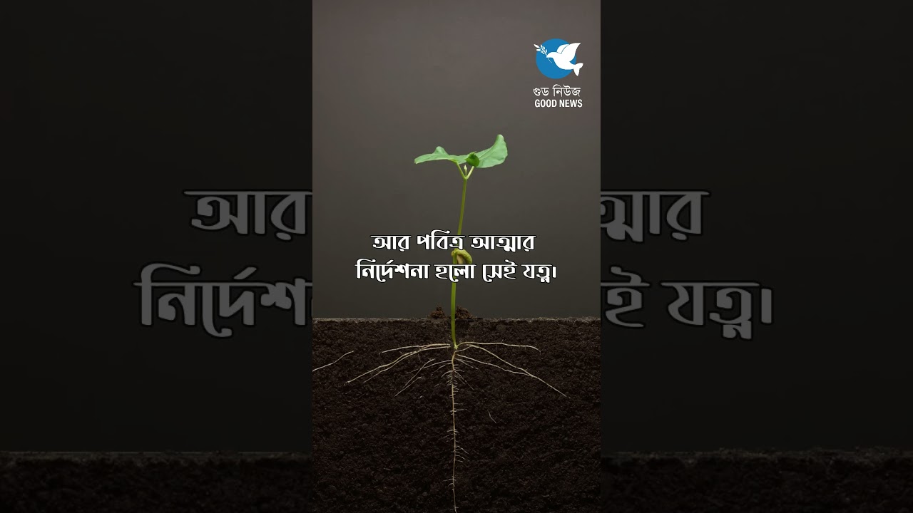 || আত্মিক জীবনে বৃদ্ধি ||  #bibleverses #motivation #bibleverse_jmjc #learntoforgive