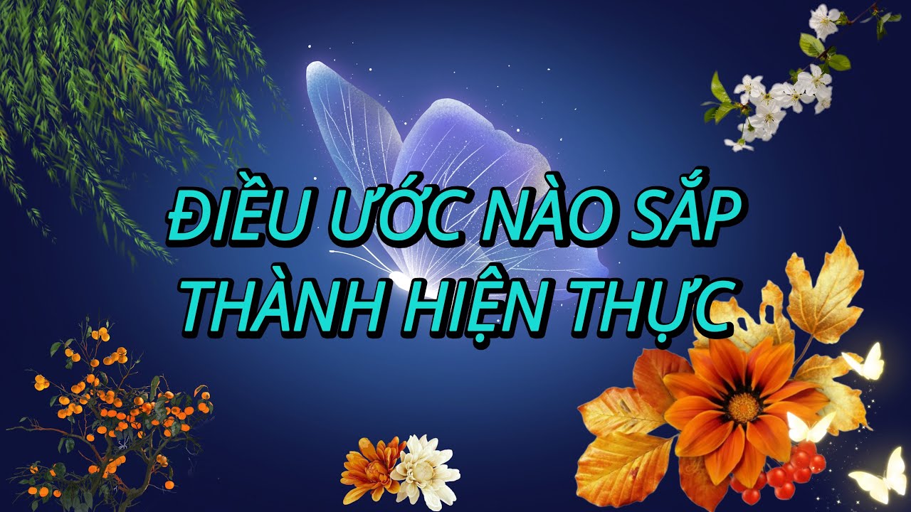 ĐIỀU ƯỚC NÀO SẮP THÀNH HIỆN THỰC 📩🔥 Người đưa thư #229