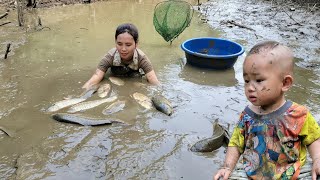 Harvesting fish ponds to sell at the market - cooking - daily life of mother and daughter