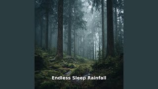 Infinite Rest Flow, Pt.21