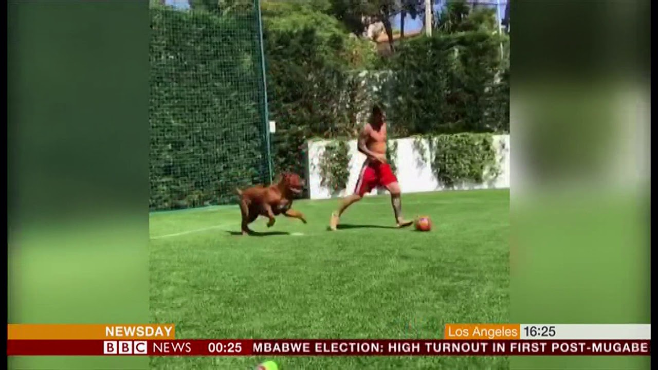 Lionel Messi playing with his dog 'Hulk' - BBC News - 31st July 2018