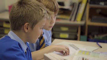 South Farnham School Review of Busy Ant Maths