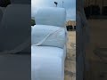 Cottonseed Bale x Strutty's