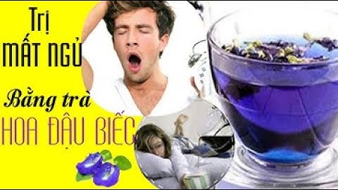 TRÀ HOA ĐẬU BIẾC - Trị Mất Ngủ hiệu quả