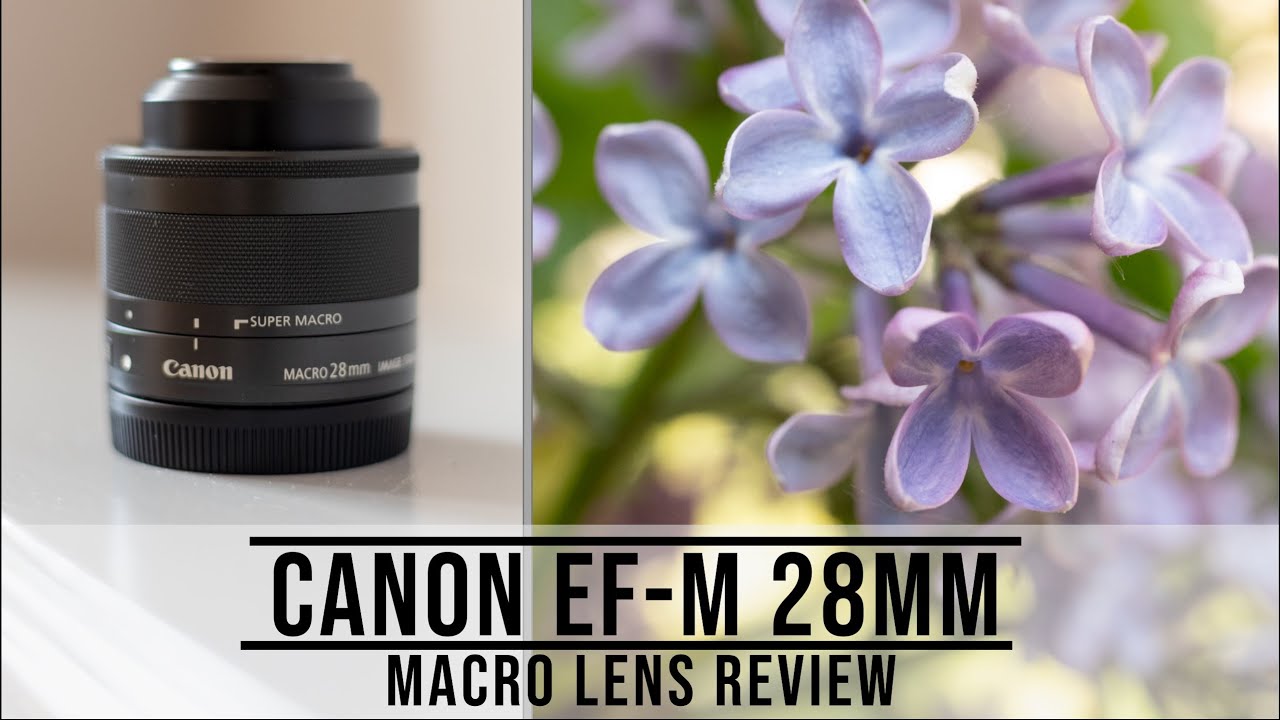 Canon EF-M 28mm Macro Lens Review