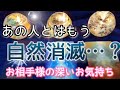 あの人とは自然消滅…？あの人の気持ち、あなたが取るべき行動💎タロットとルノルマンカードとオラクルカードで詳細鑑定💖