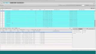 Lavastorm Fraud Manager Product Demonstration