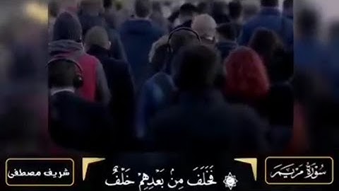 تلاوة مبكيه شريف مصطفى | فخلف من بعدهم خلف اضاعو الصلاة
