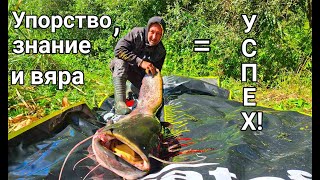 картинка: В търсене на искърския сом 3