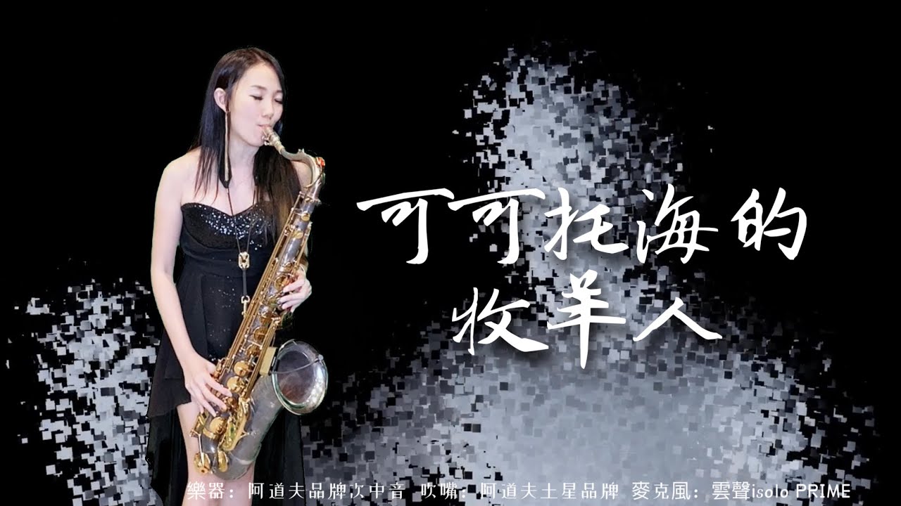 可可托海的牧羊人DJ版-SaxRuby(Fm key)