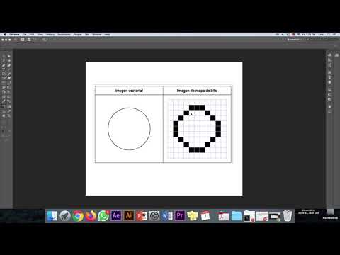 Vídeo: Diferencia Entre Mapa De Bits Y Vector