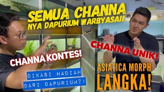 Review semua channa DAPURIUM! Channa kontes, channa unik ada semua! Part 1