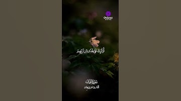 استمع لتلاوة مميزة من سورة لقمان بصوت عمر قريطنة #القارئ_عمر_قريطنة #القرآن_الكريم #تلاوة_خاشعة