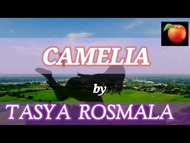 CAMELIA ~ Tasya Rosmala (lirik lagu) OM ADELLA | H. Rhoma Irama class=