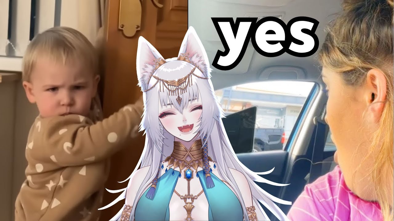 Paws Reacts To Daily Dose of Internet