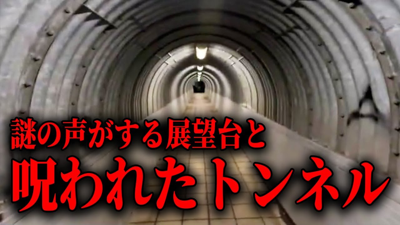 【心霊スポット】呪われた？トンネルと謎の声がする展望台にに行ってみるぞ！！