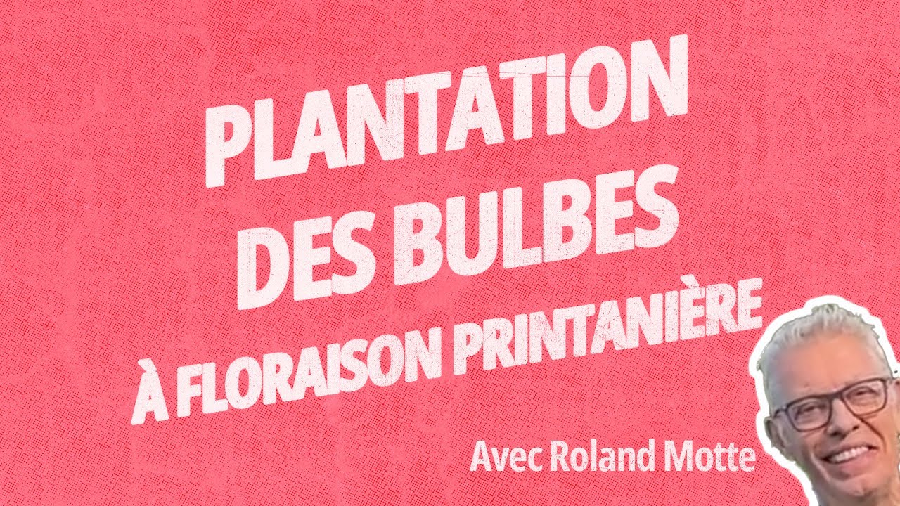 Quand et Comment Planter les Bulbes de Printemps ?