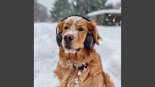 Fetch Game Beats