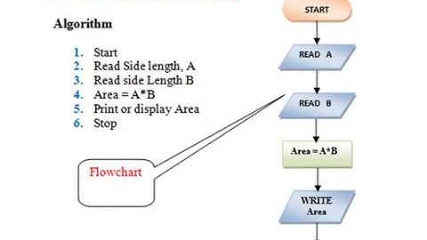 Class 9 Computer (Examples of Algorithms and Flowcharts)