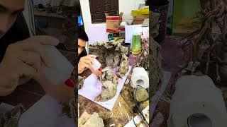 Bố cục Hang Sơn Đoòng Ngày 1 #thuysinhvietnam  #Aquascape #BeCaDep #naturestyle  #aquarium