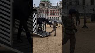 Beautiful NEW Horse delivered to Horse Guards! 🐎