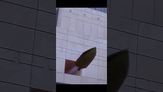 Bonds Daring Speedboat Chase Close Call Under Fire The World Is Not Enough