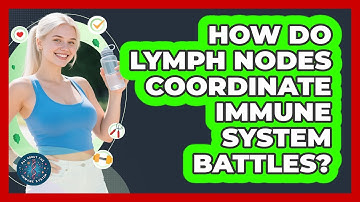 How Do Lymph Nodes Coordinate Immune System Battles? - All About the Immune System