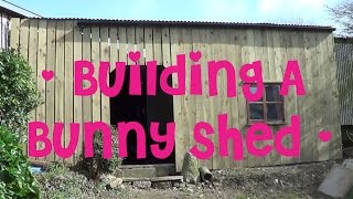 Building The New Bunny Shed | Shed Tour 🐰🐇