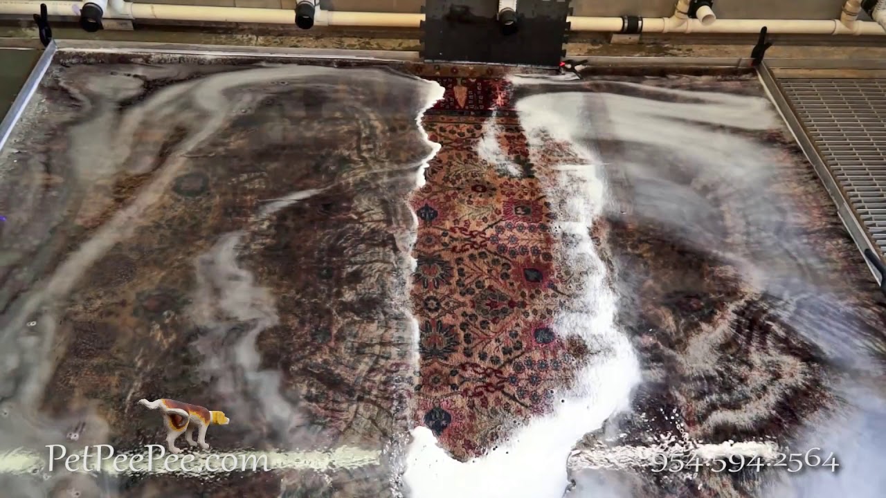 Removing the bad odor from Karastan Carpet