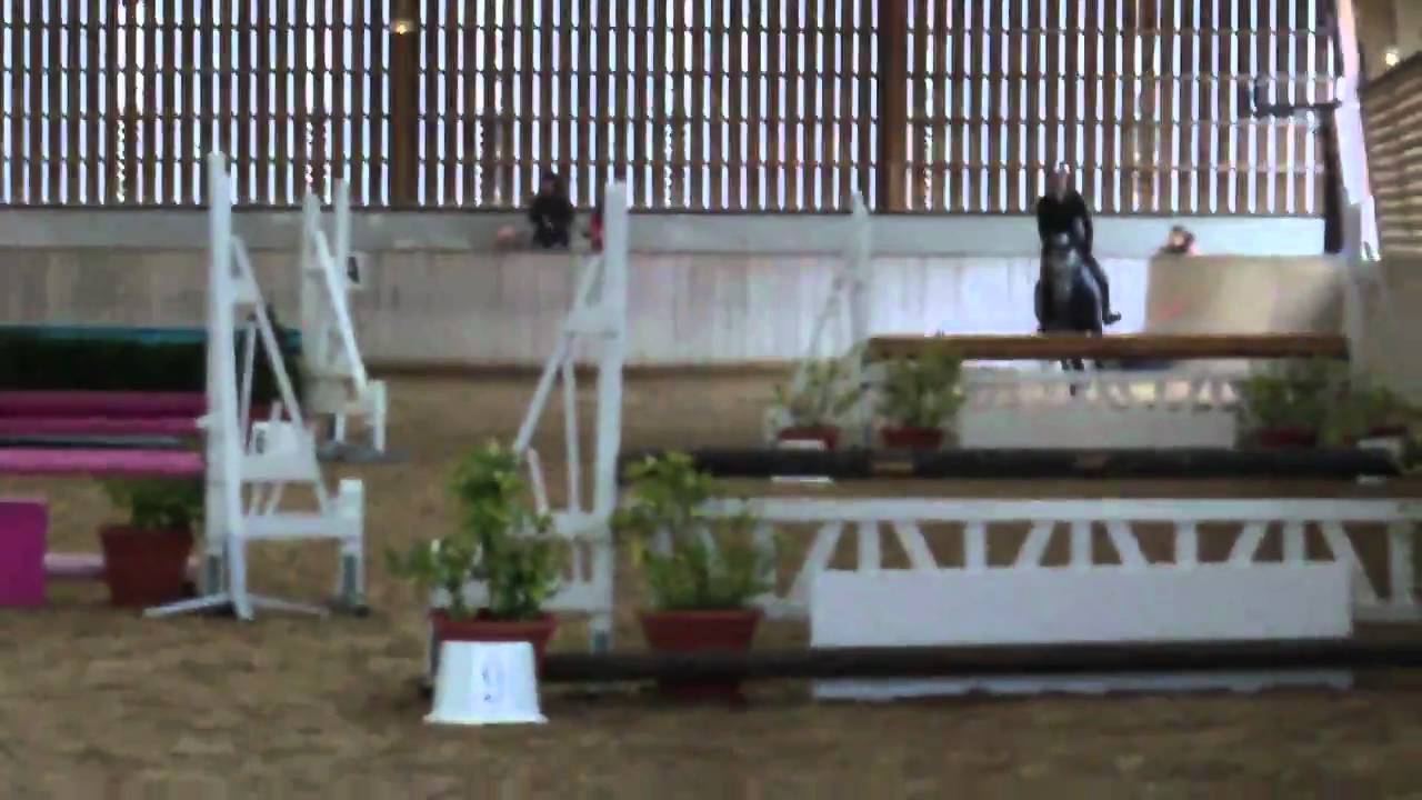 Hunter Style 90 cm Tremblay en france Sam du halage 28/11/10