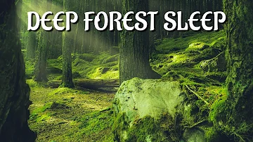 Deep Relaxing Forest Sleep Music - 20 min of Forest Sleep | Meditation Music