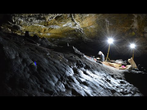 Video: Kada je oslikana špilja Altamira?