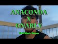 ANACONDA X GNARLY 