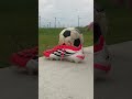 Adidas Football Boots Predator ELITE FT FG