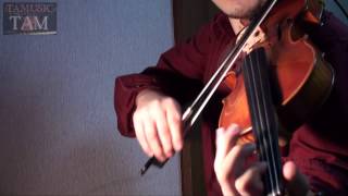 Video-Miniaturansicht von „ANIME / SHINGEKI NO KYOJIN OP TVver / GUREN NO YUMIYA / 進撃の巨人 紅蓮の弓矢 Violin:TAM(TAMUSIC)“