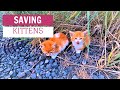 Dirt Biker saves Abandoned KITTENS [*In the Desert*]