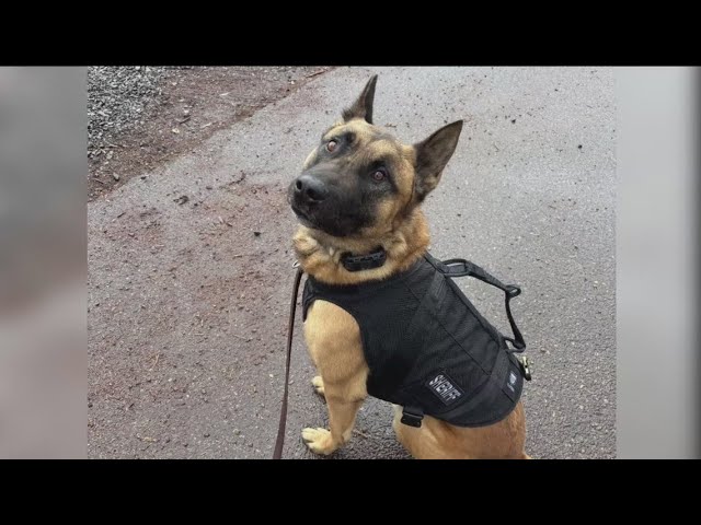 Drooling Dog Police K-9 Unit Tank Vest – X-Small / Small, Unisex, New With Tags