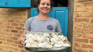 Farinha de Cálcio para Plantas e Animais