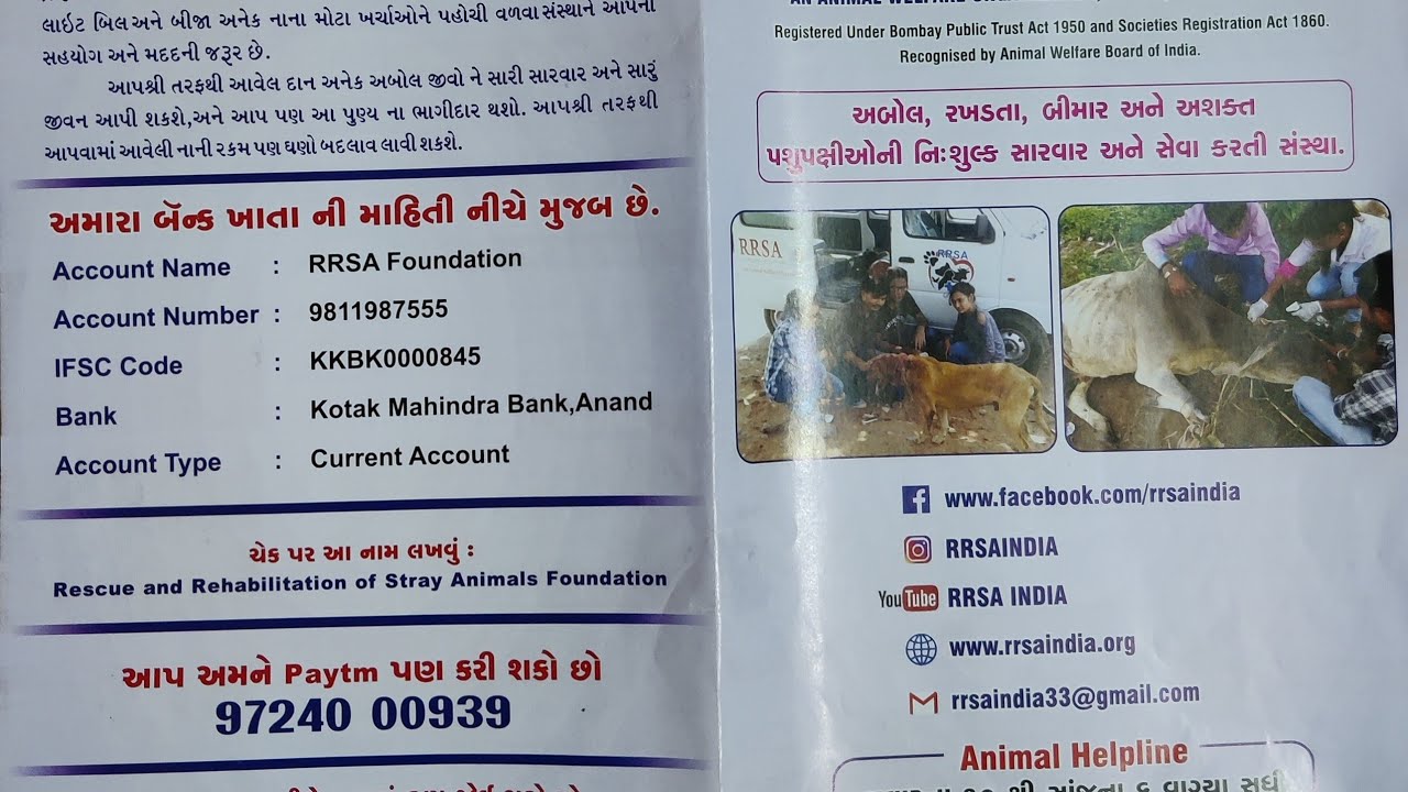 Animal and Birds Diaries l Birds Rescue Operation by RRSA Foundation at   Anand Gujarat - YouTube